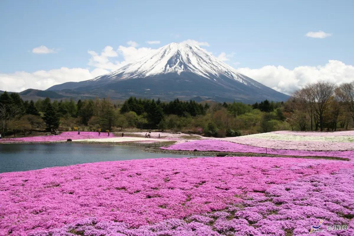 富士山河口湖