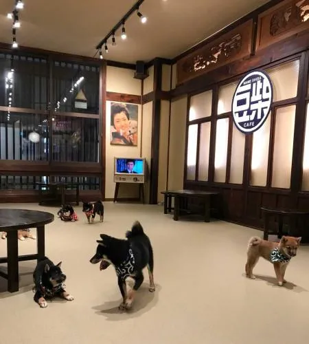 豆柴カフェ (大阪店)