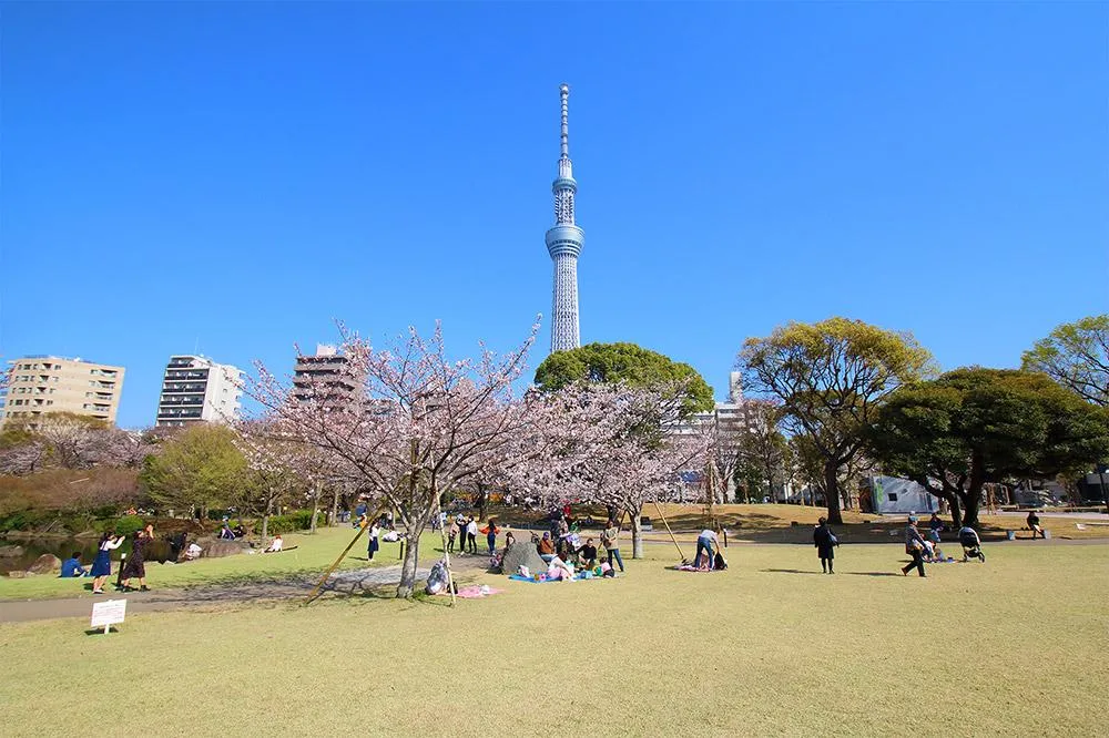 隅田公園