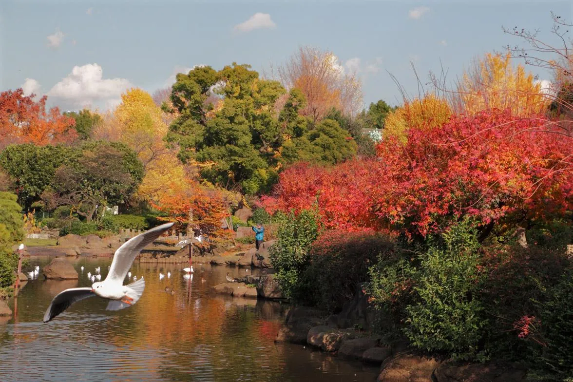 圖片來源：官方網站、U Lifestyle