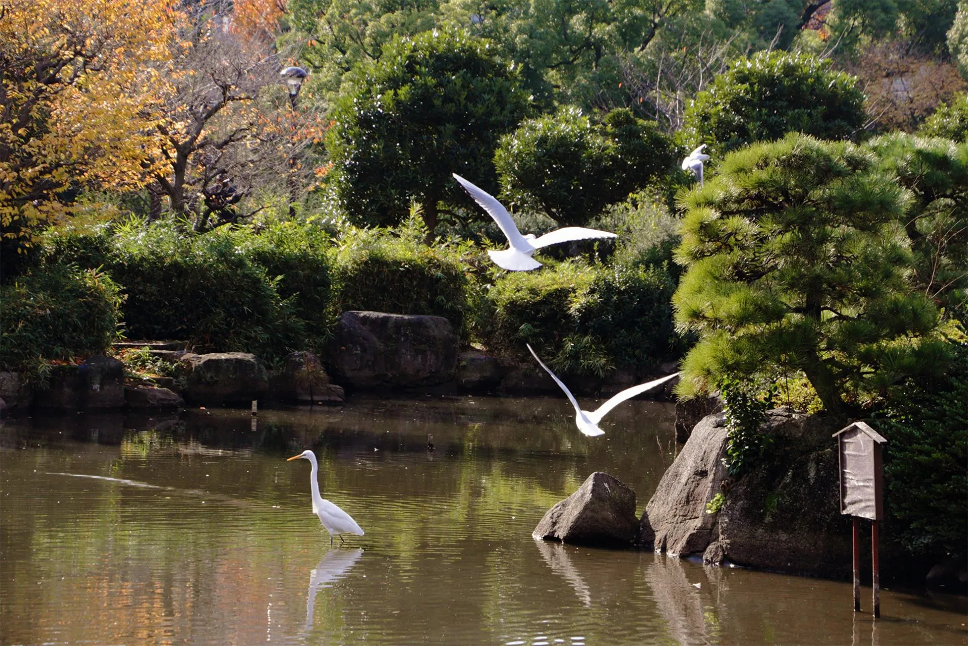 圖片來源：官方網站、U Lifestyle