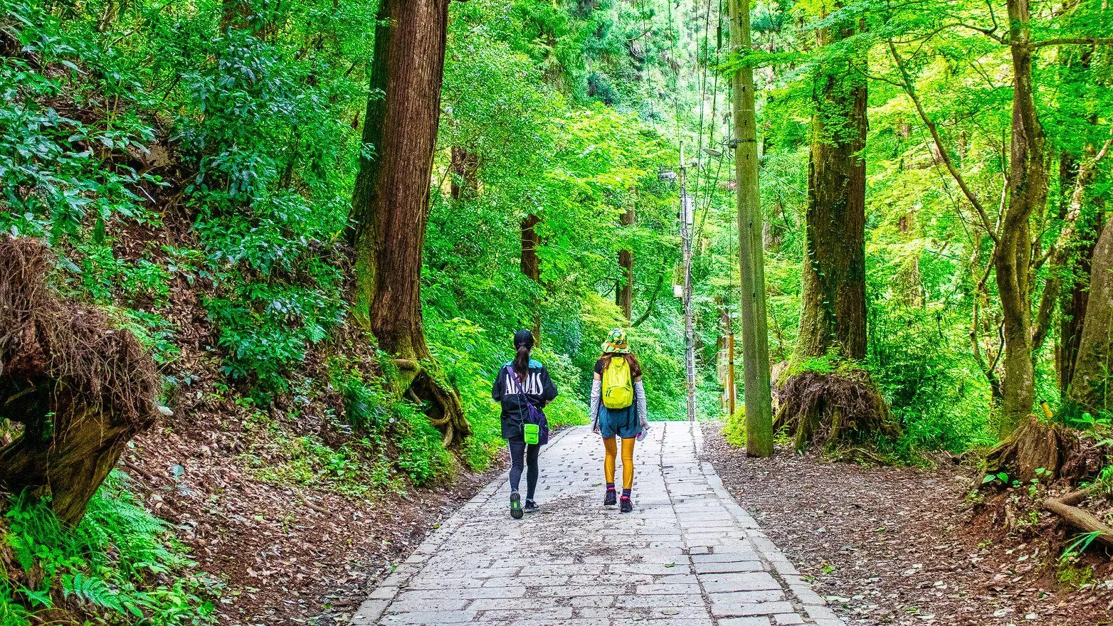 圖片來源：官方網站、U Lifestyle