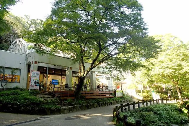 圖片來源：官方網站、U Lifestyle