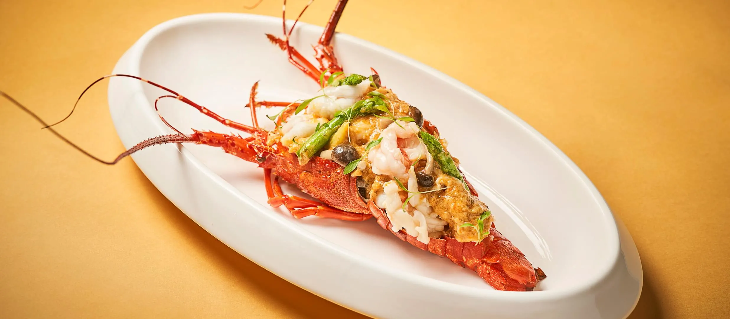 圖片來源：官方網站、U Lifestyle