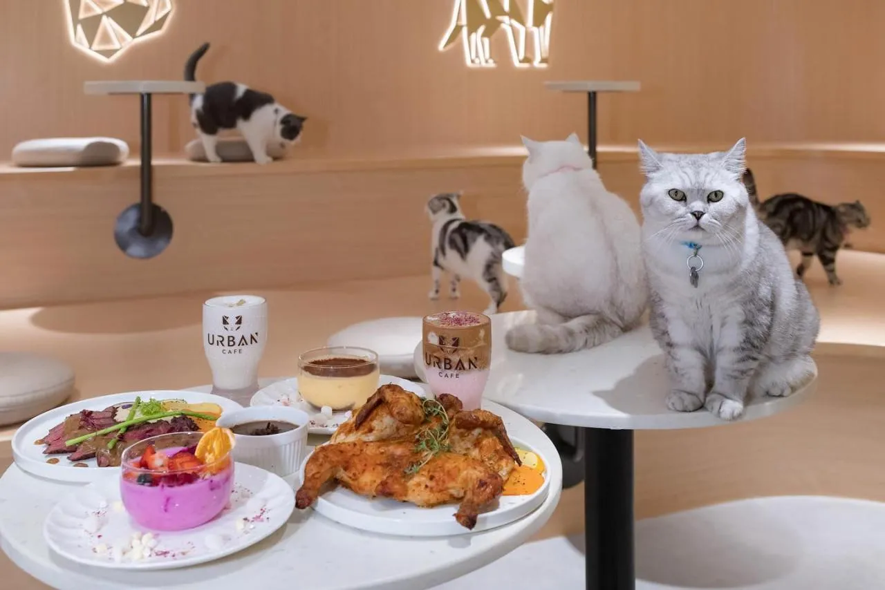 圖片來源：官方網站、U Lifestyle