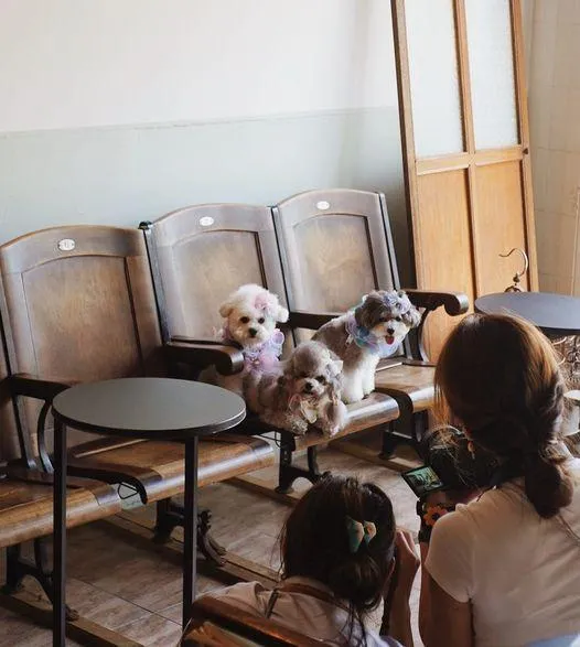 圖片來源：官方網站、U Lifestyle