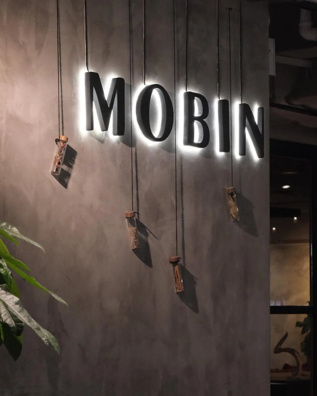 Mobin