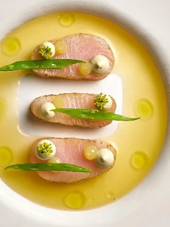 圖片來源：官方網站、U Lifestyle