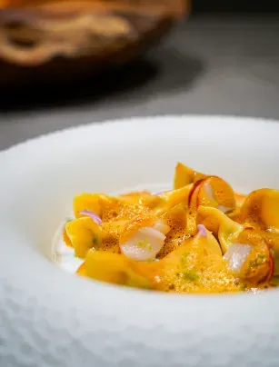 PLAISANCE BY MAURO COLAGRECO