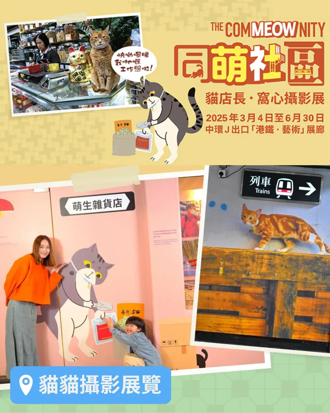 《同萌社區》貓店長攝影展