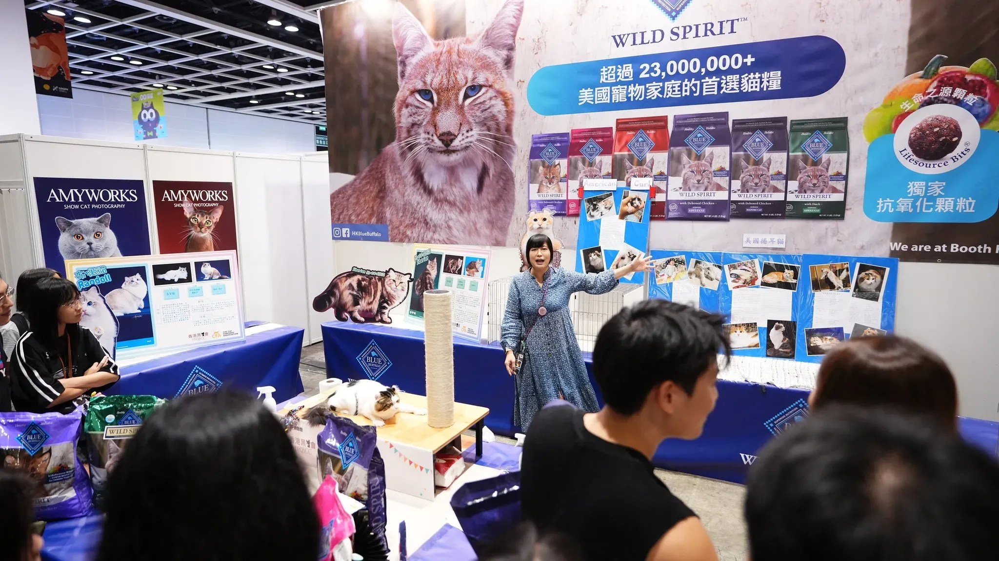 圖片來源：官方網站、U Lifestyle