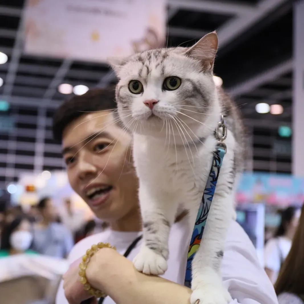 圖片來源：官方網站、U Lifestyle