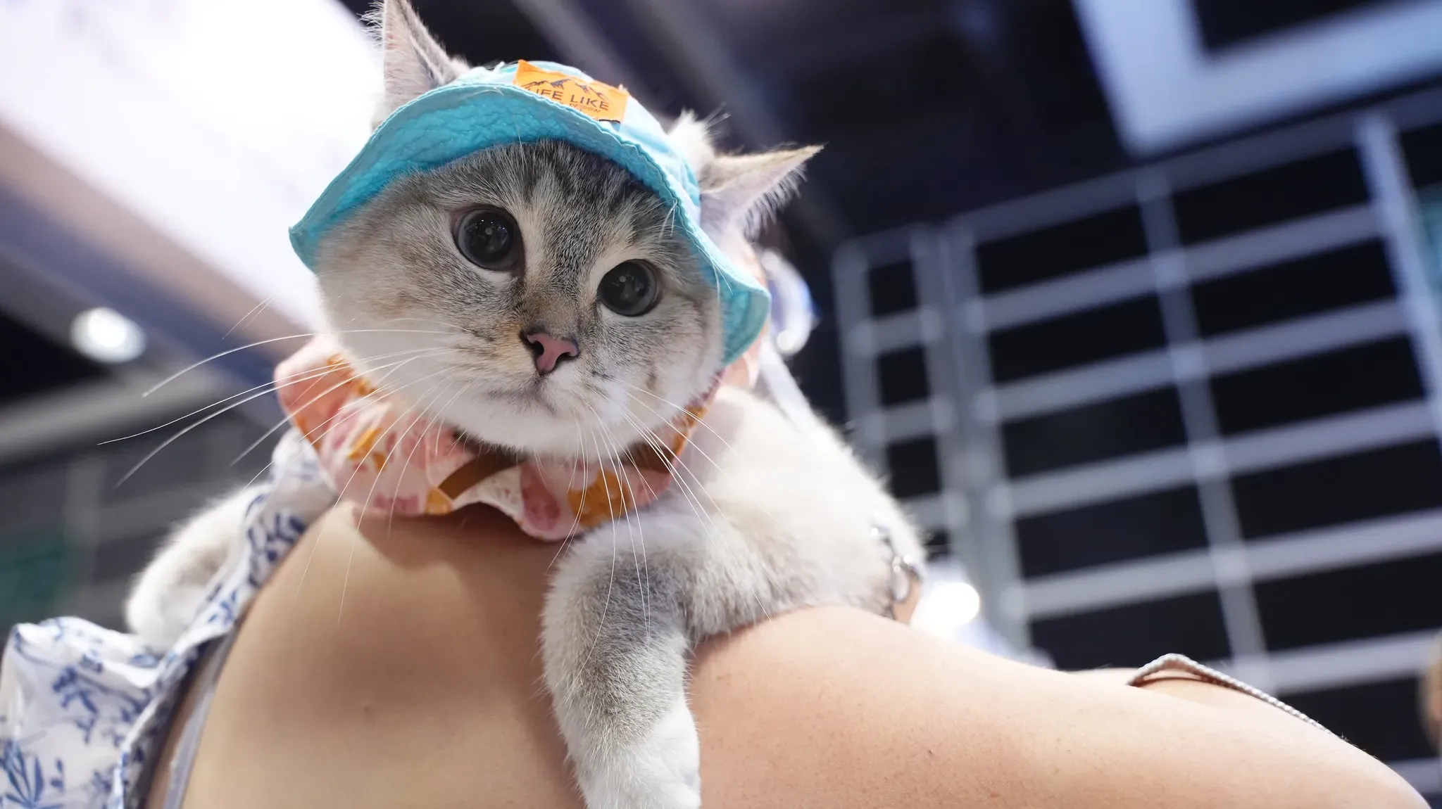 圖片來源：官方網站、U Lifestyle