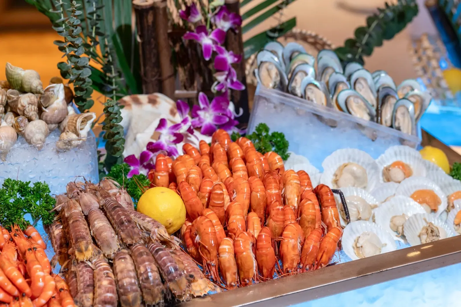 圖片來源：官方網站、U Lifestyle