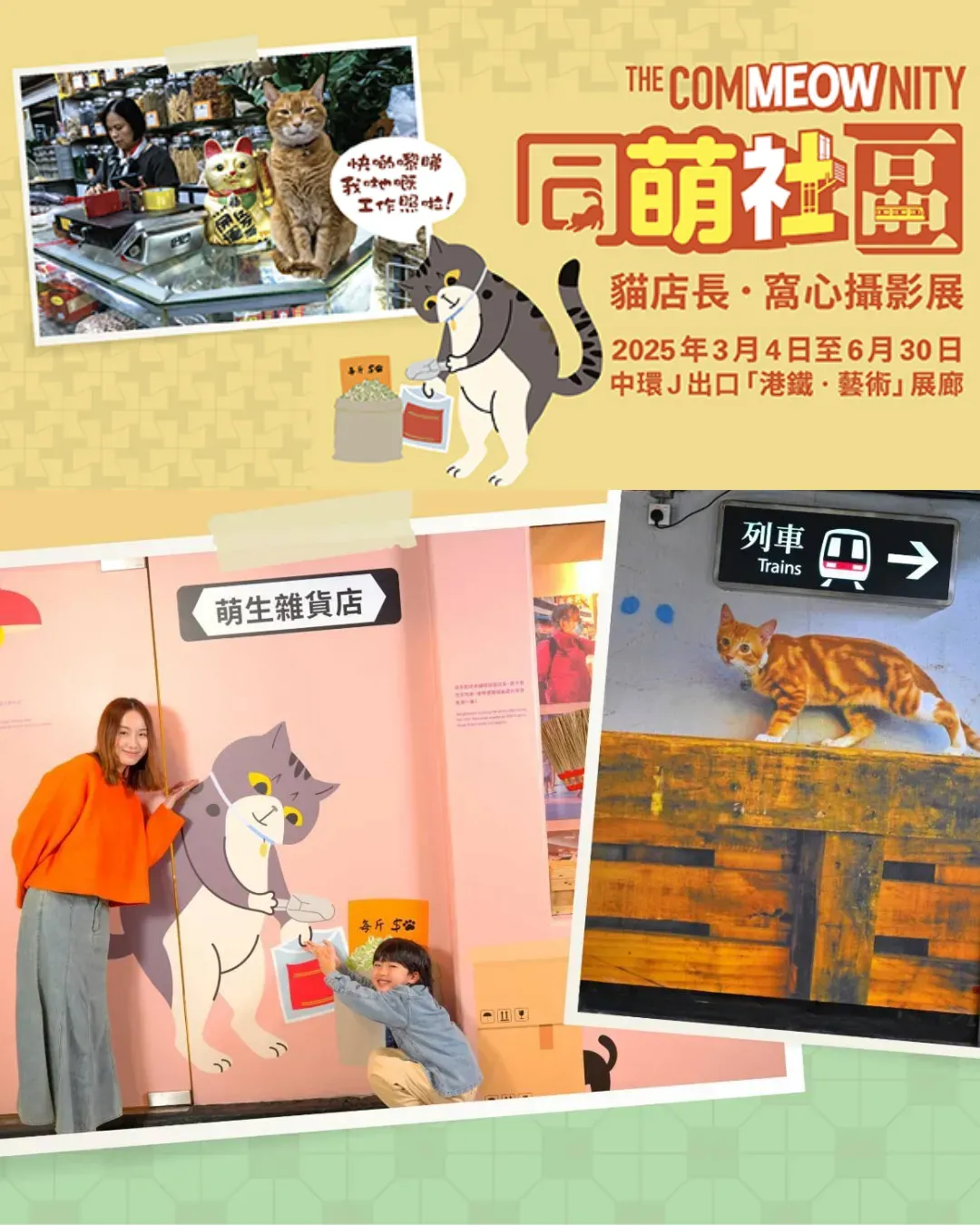《同萌社區》貓店長攝影展