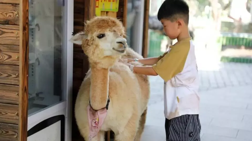 圖片來源：官方網站、U Lifestyle