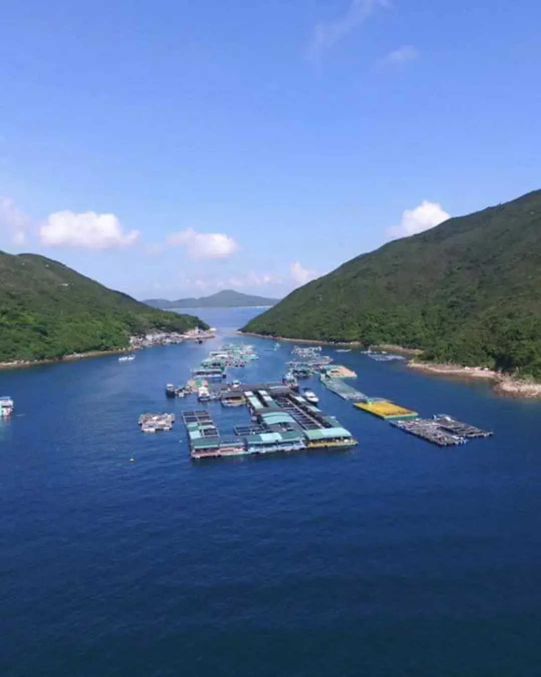 西貢滘西灣魚排