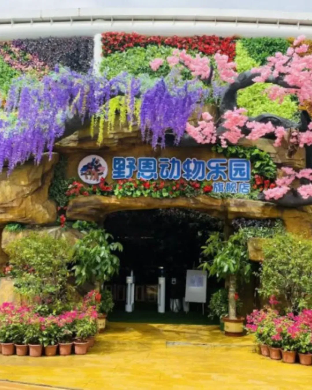 深圳野恩動物樂園（海雅店）