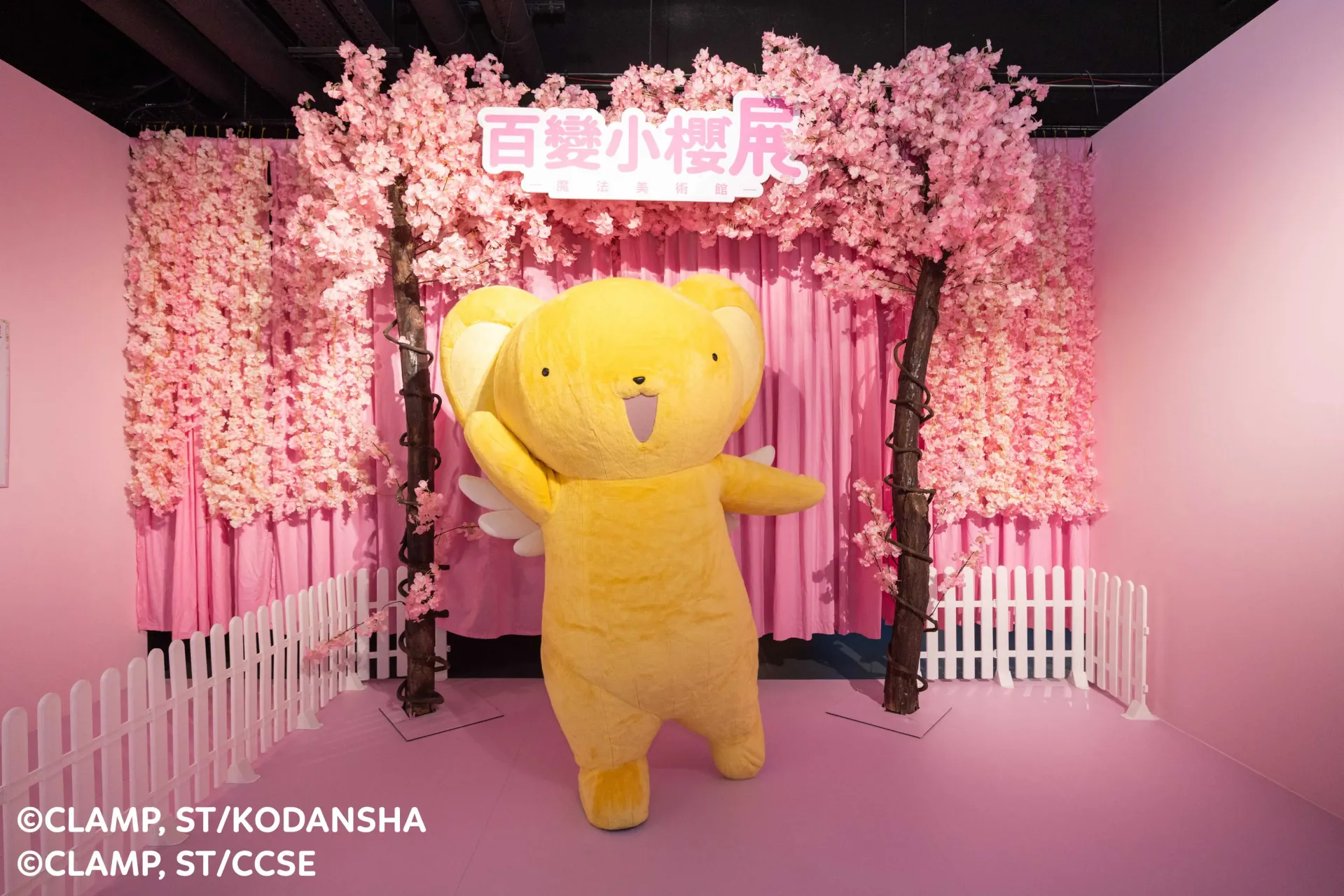 圖片來源：官方網站、U Lifestyle