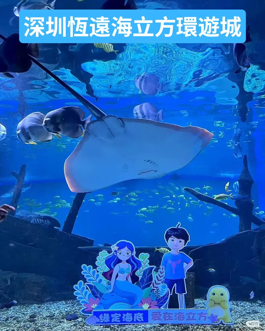 深圳恆遠海立方環遊城