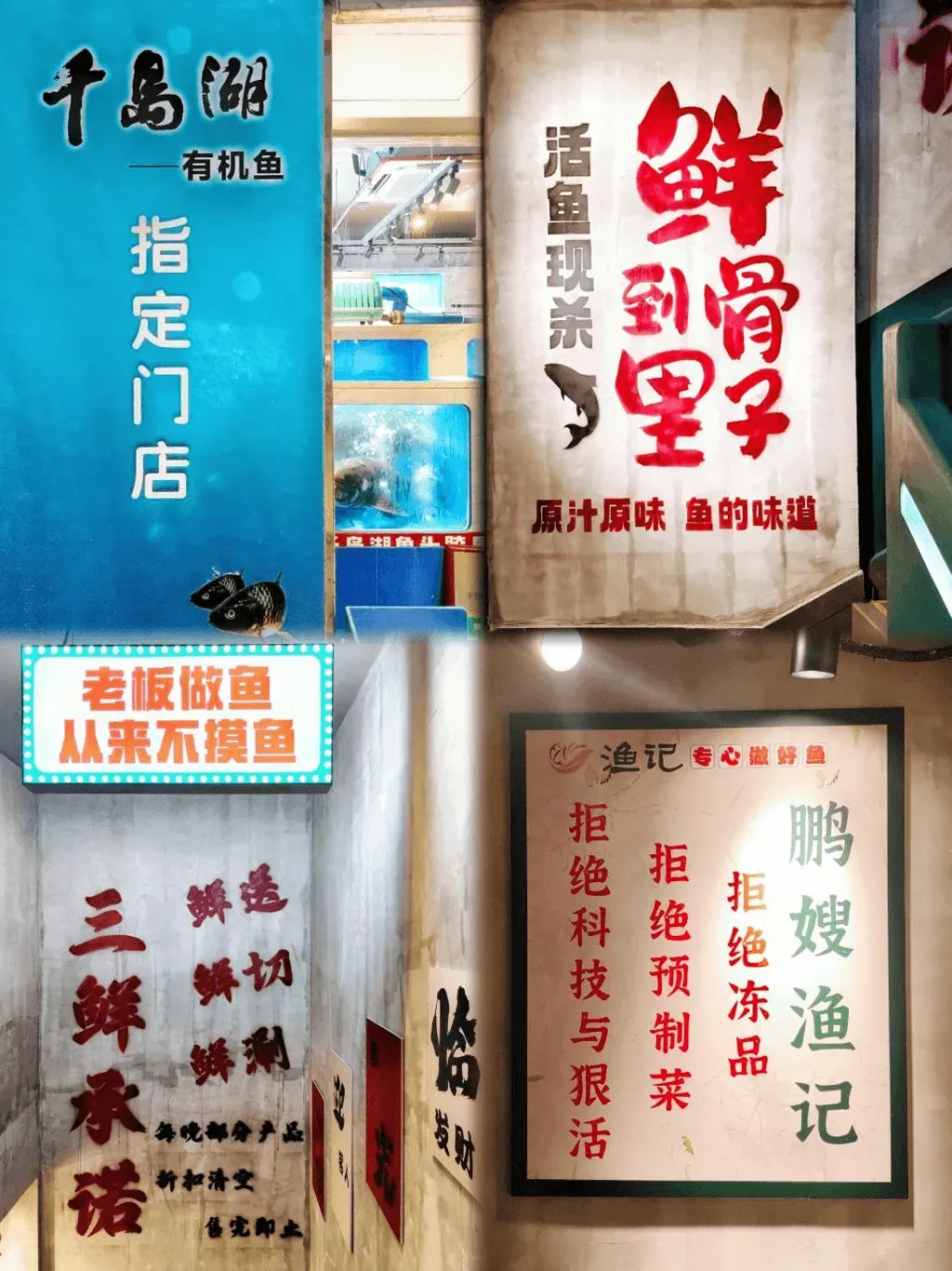 U社群用戶@chingchingjaiii