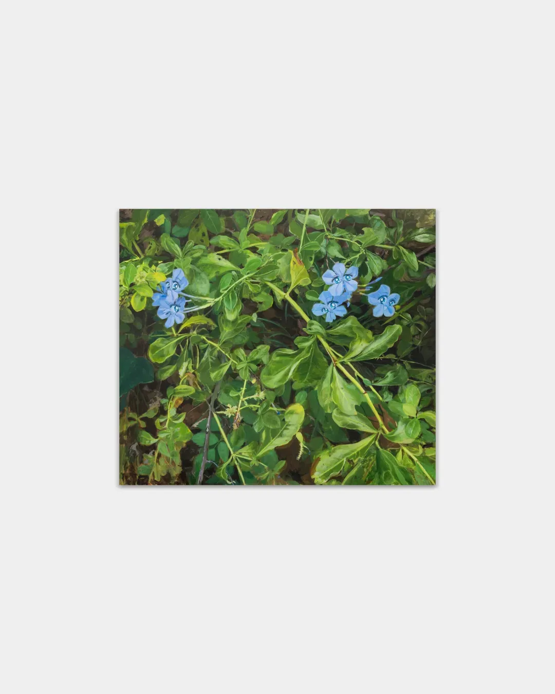 「夏」劉茵個展