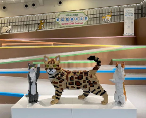 JEKCA 貓貓造型積木打卡位