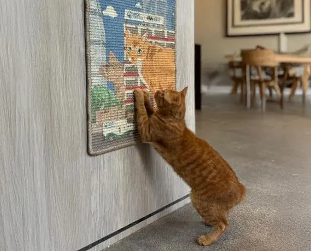 愛協零售部 x 夏日城中貓影 系列商品