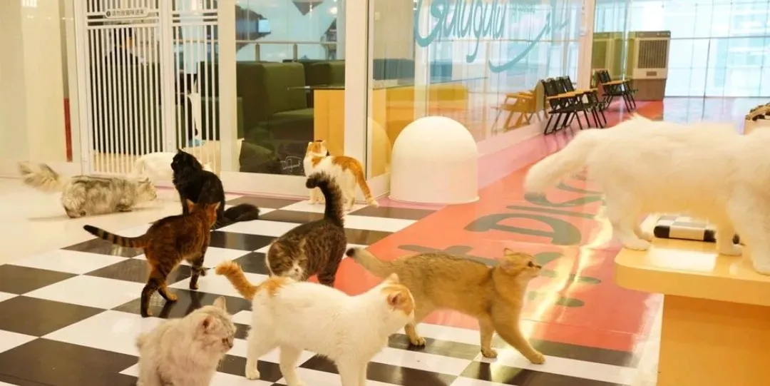 圖片來源：大衆點評官方圖片