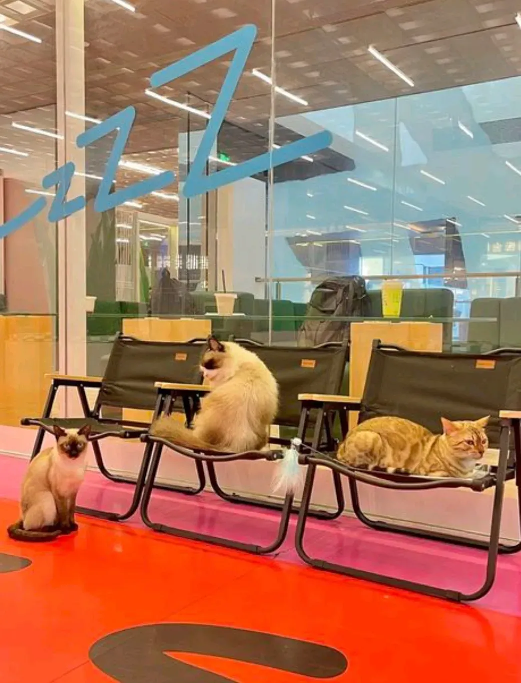 圖片來源：大衆點評官方圖片