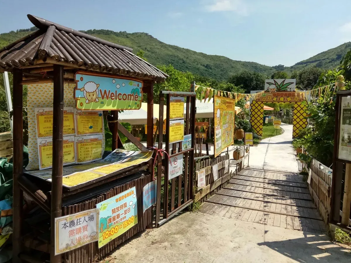 圖片來源：官方網站、U Lifestyle