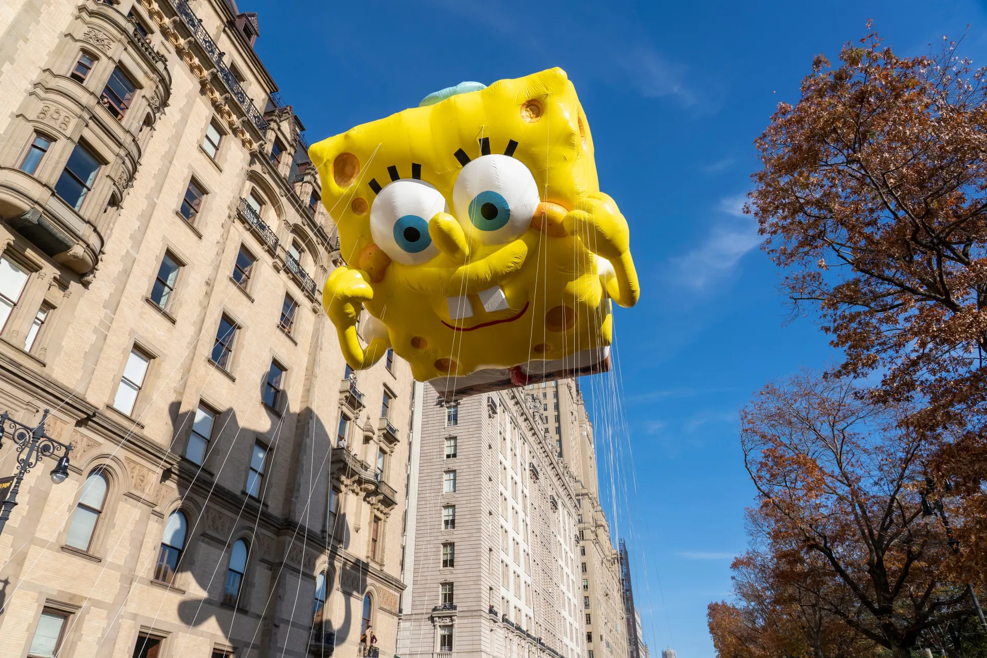 圖片來源：官方圖片