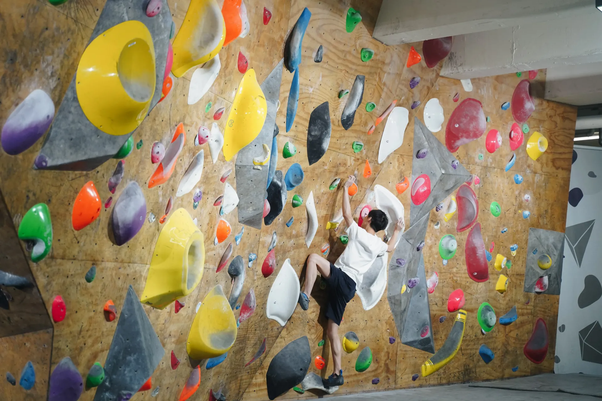 圖片來源：官方圖片