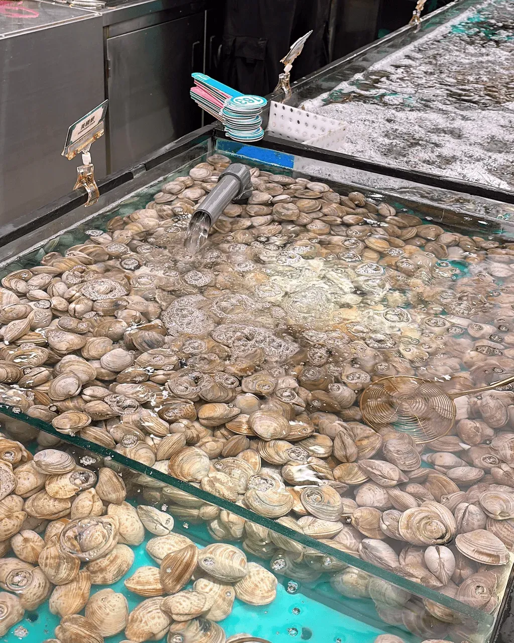 圖片來源：U Community