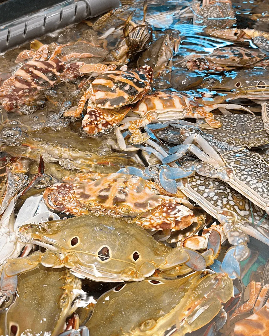 圖片來源：U Community