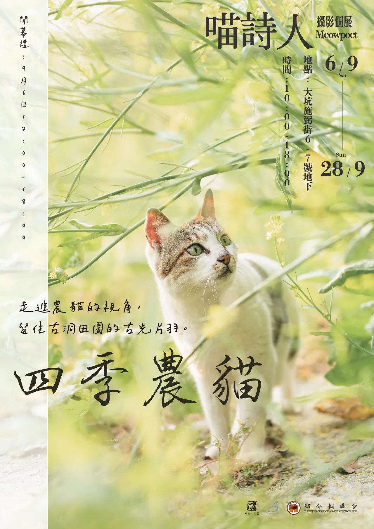 「四季農貓」喵詩人攝影個展