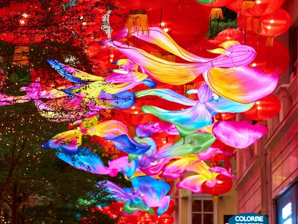 圖片來源：香港旅遊發展局官方網站