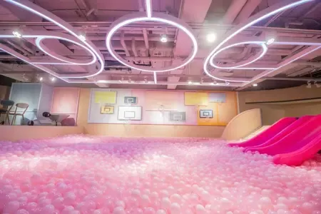 圖片來源：大樹先生的家 官方網站