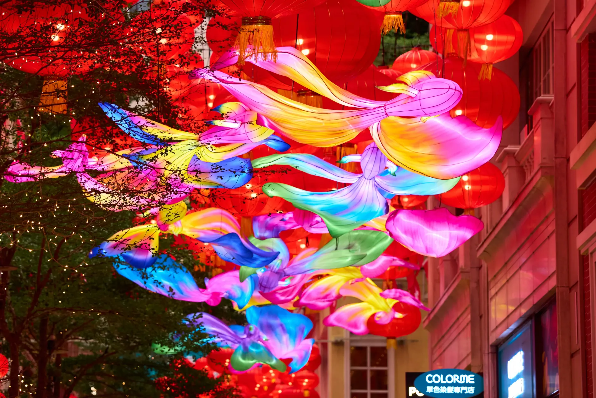 圖片來源：官方網站、U Lifestyle