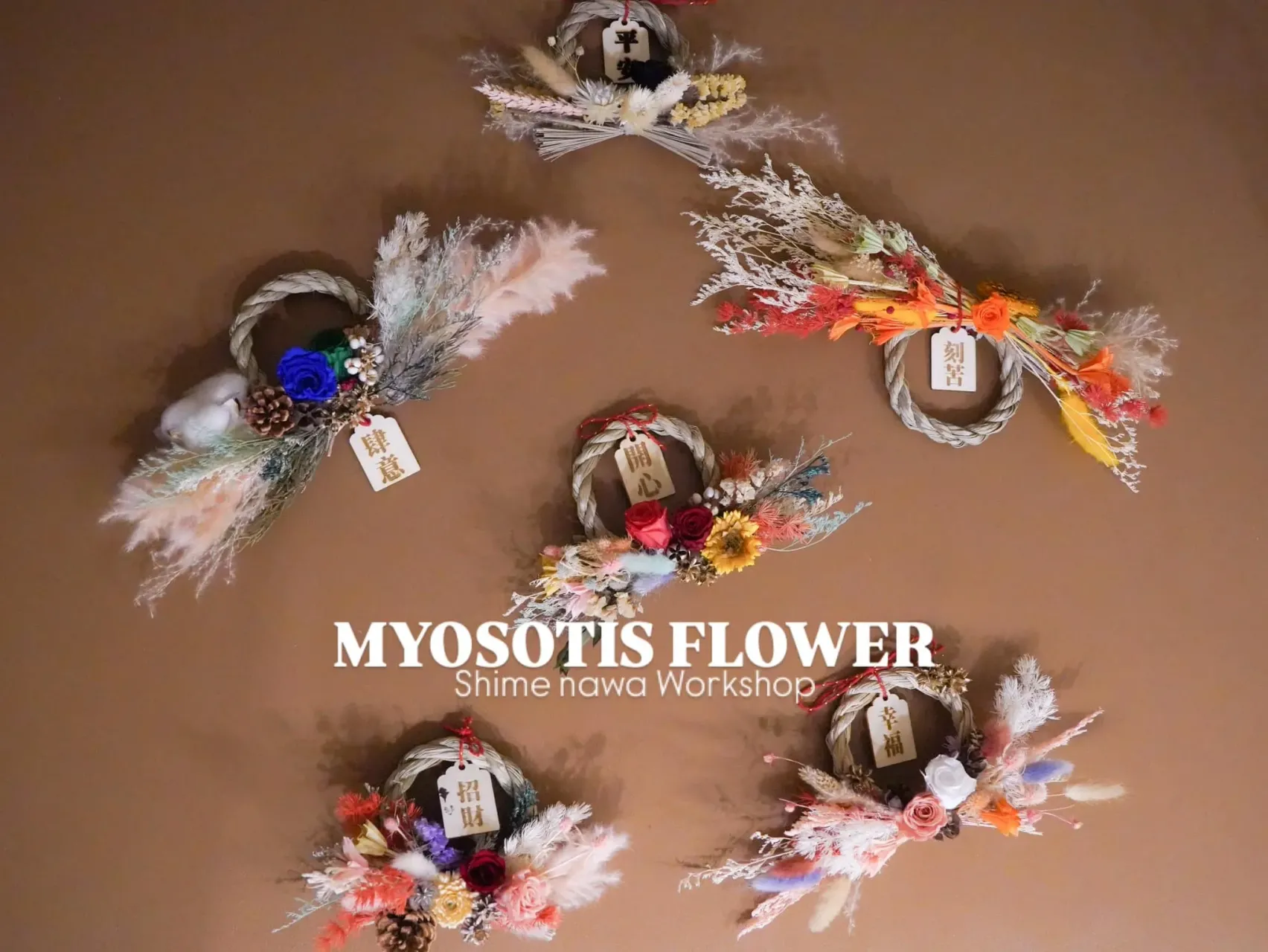 Myosotis flower工作室