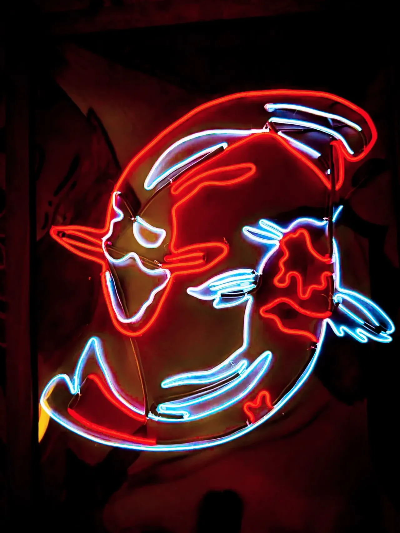 圖片來源：FB@Myosotis flower 