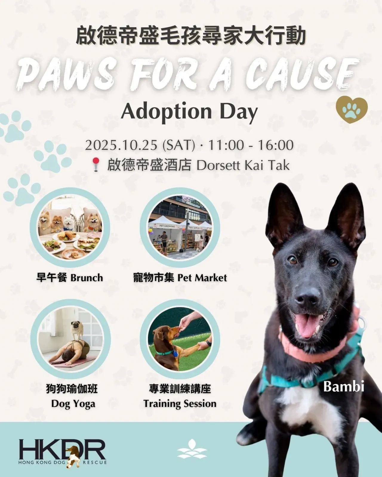 Paws for a Cause 毛孩尋家大行動