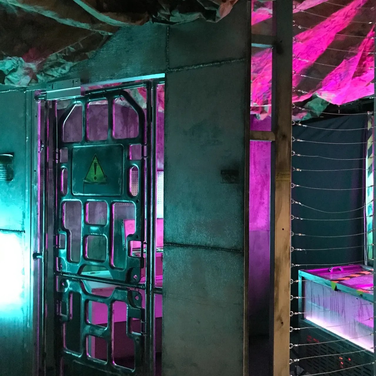 圖片來源：官方圖片 