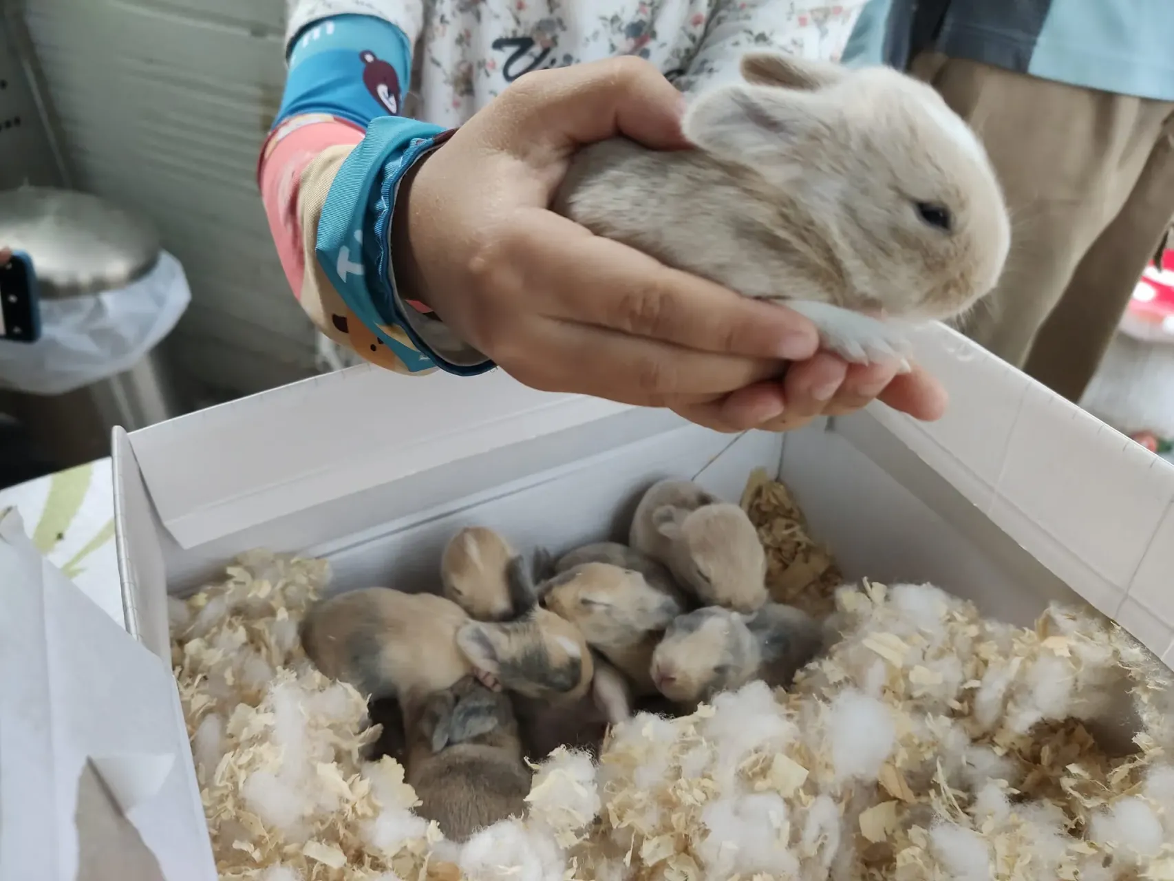 圖片來源：官方圖片