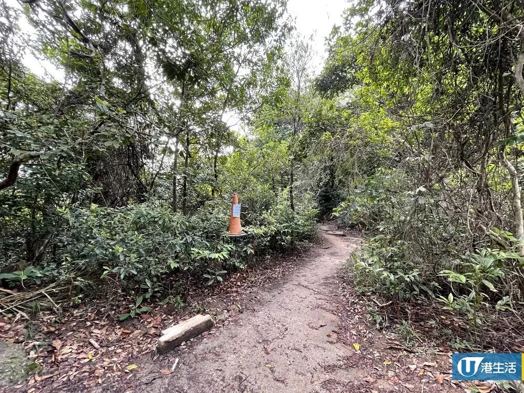 圖片來源：U Lifestyle