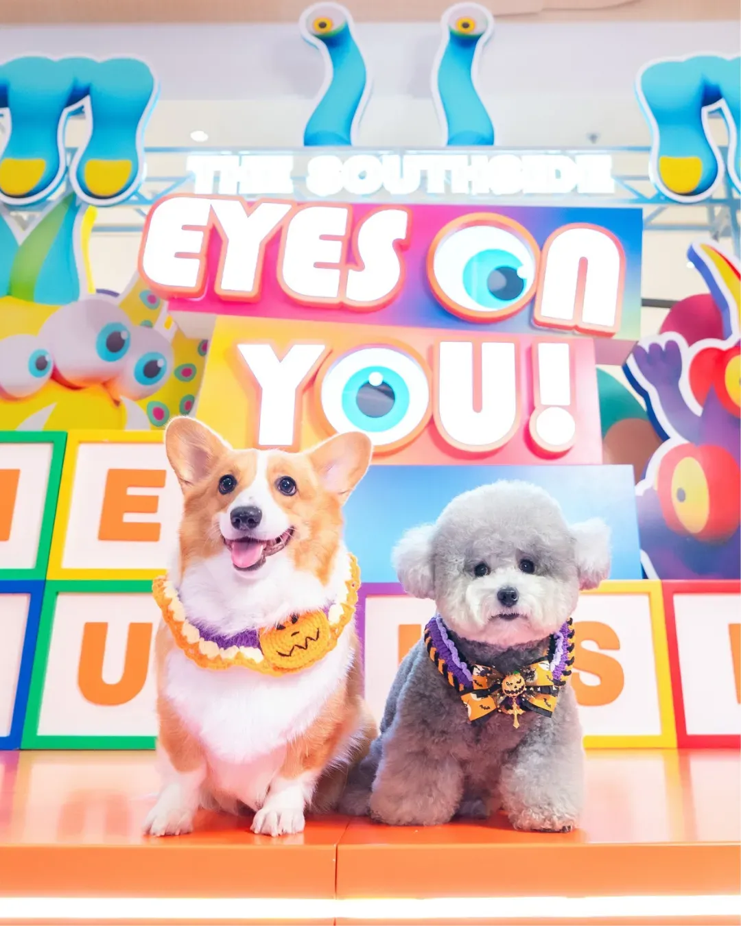 THE SOUTHSIDE 萬聖節「EYES ON YOU」幻彩森林