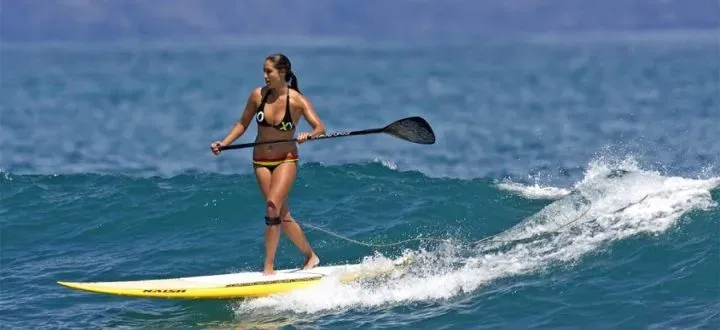 圖片來源：官方網站