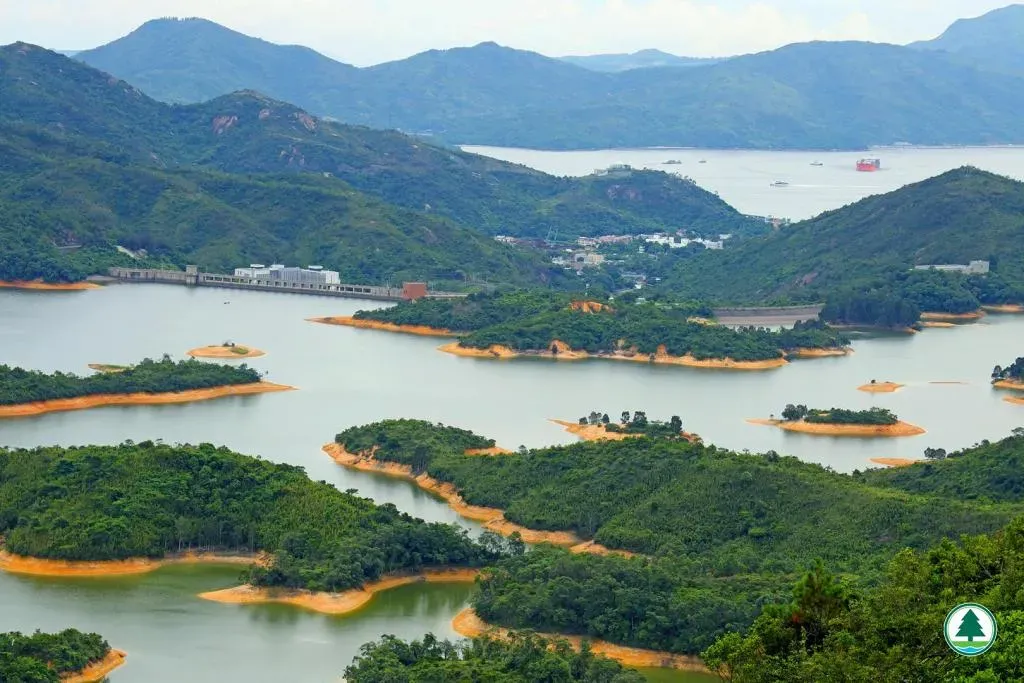 大欖涌水塘 (香港千島湖)