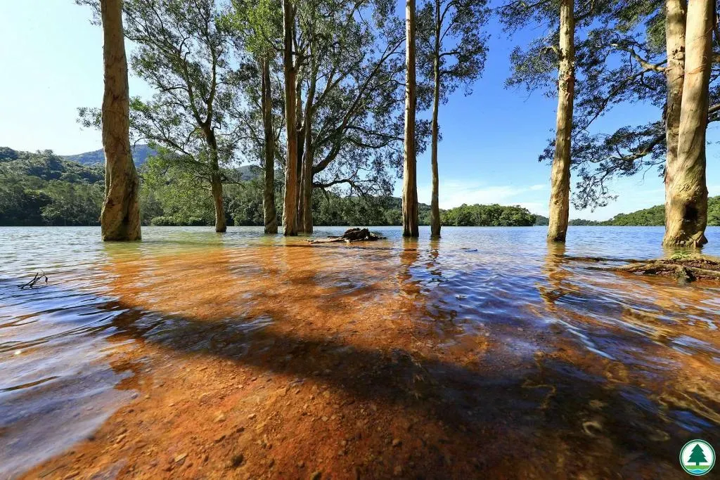 圖片來源：U Lifestyle