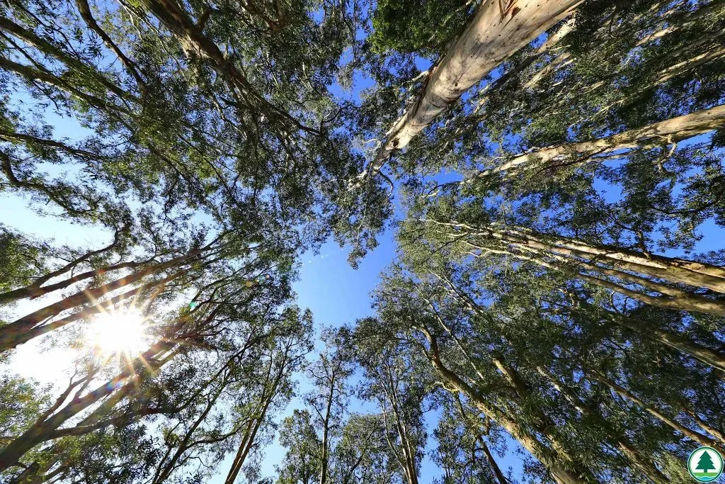 圖片來源：U Lifestyle